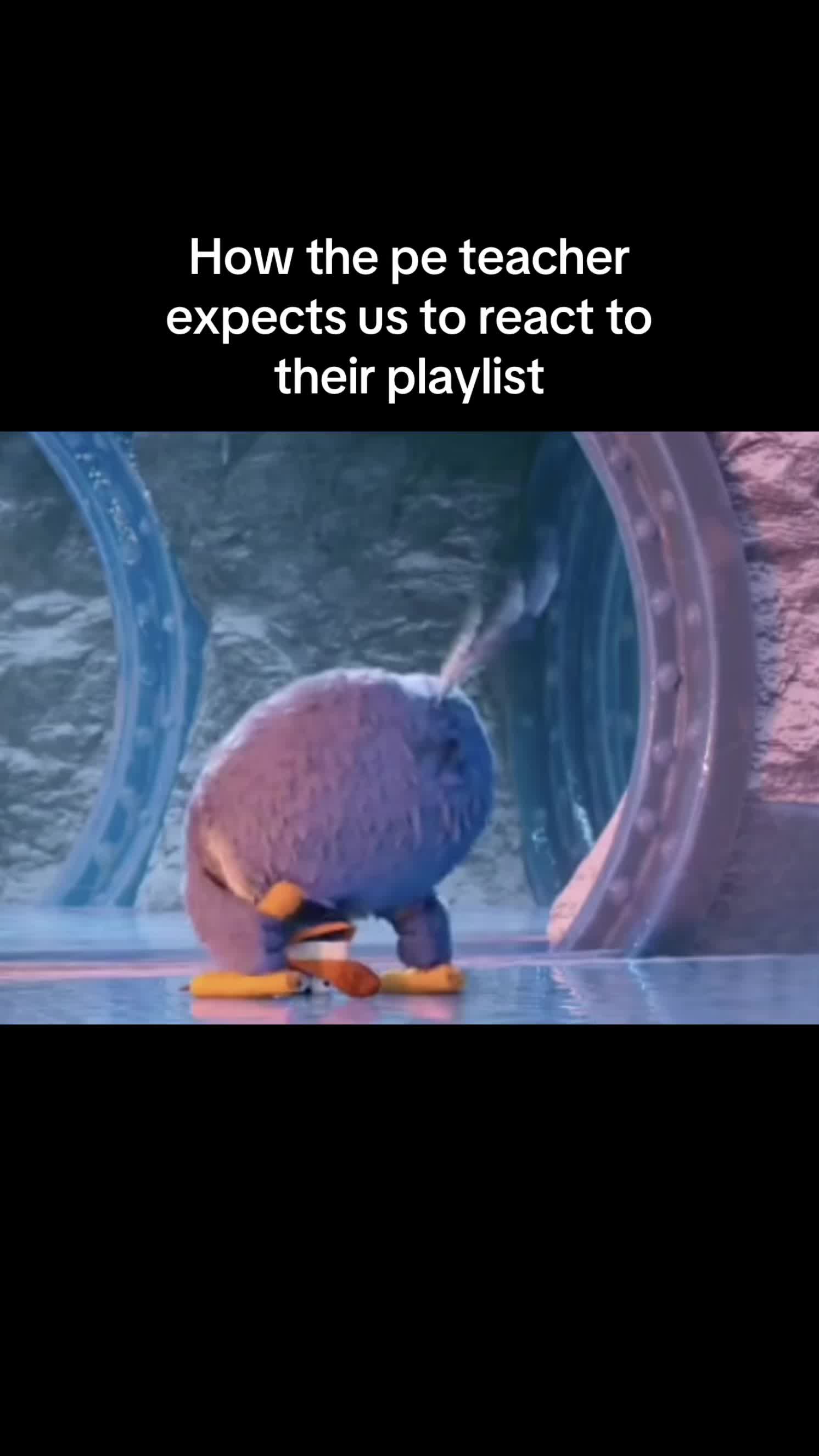 @Mr Meme