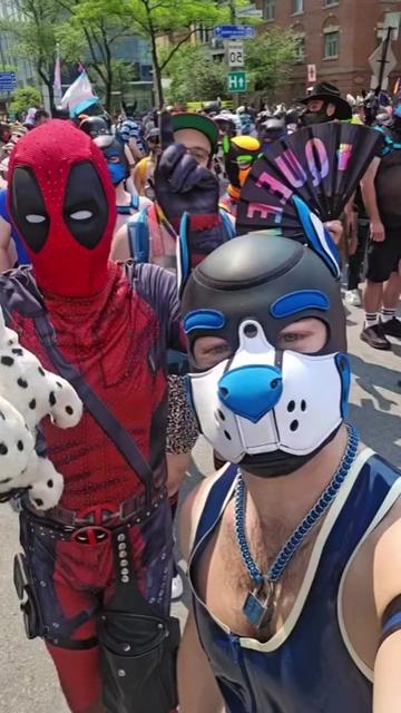 @puptosa🔜 NorthLands