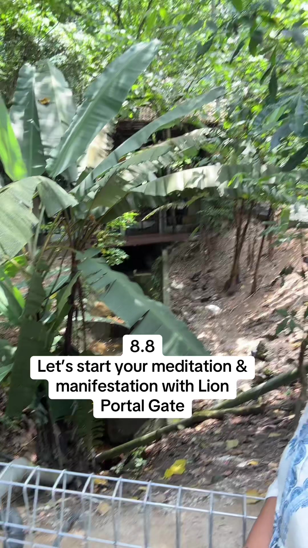 @WhitePigeon Holistic Services
