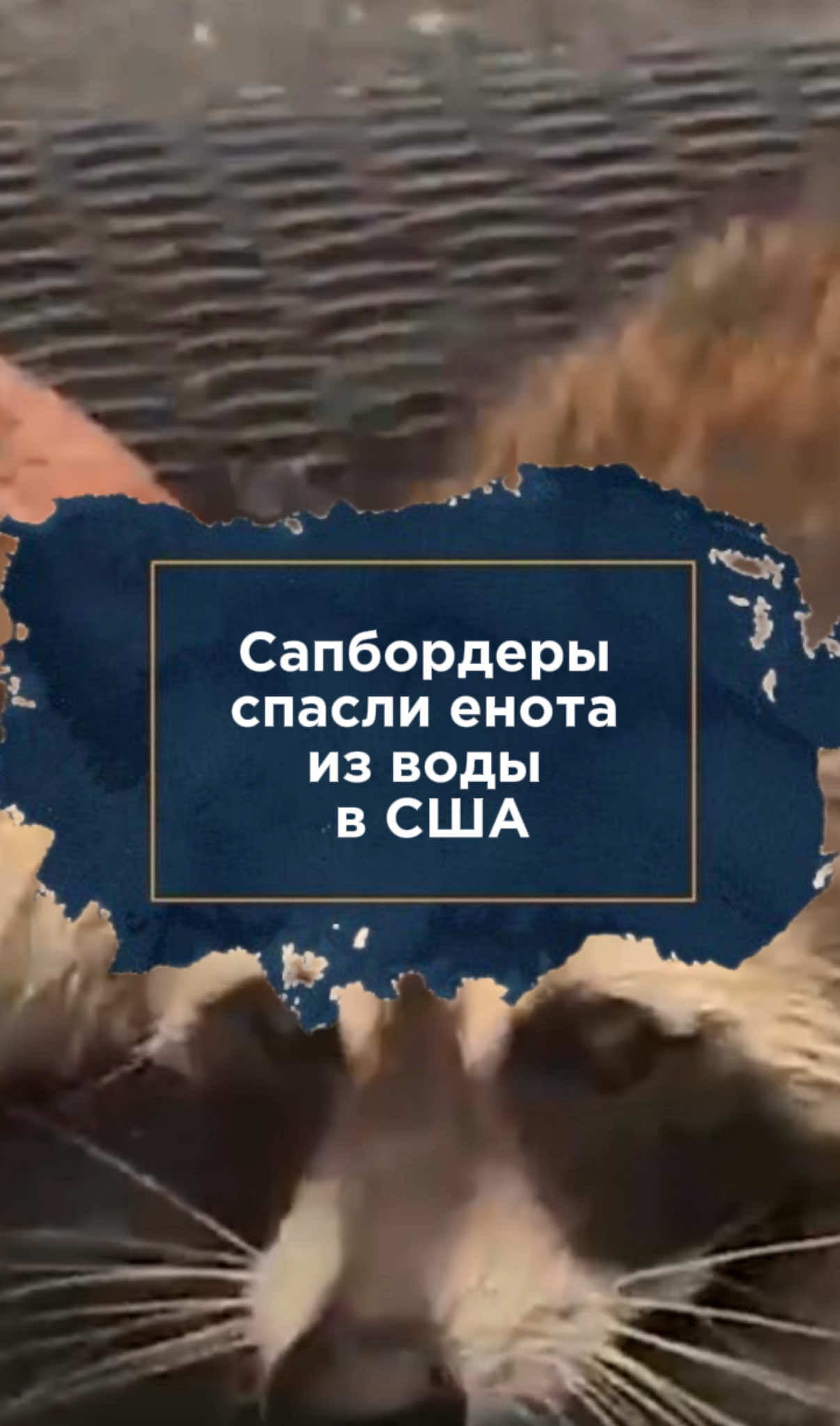 @zakon.kz ➡️ Новости Казахстана