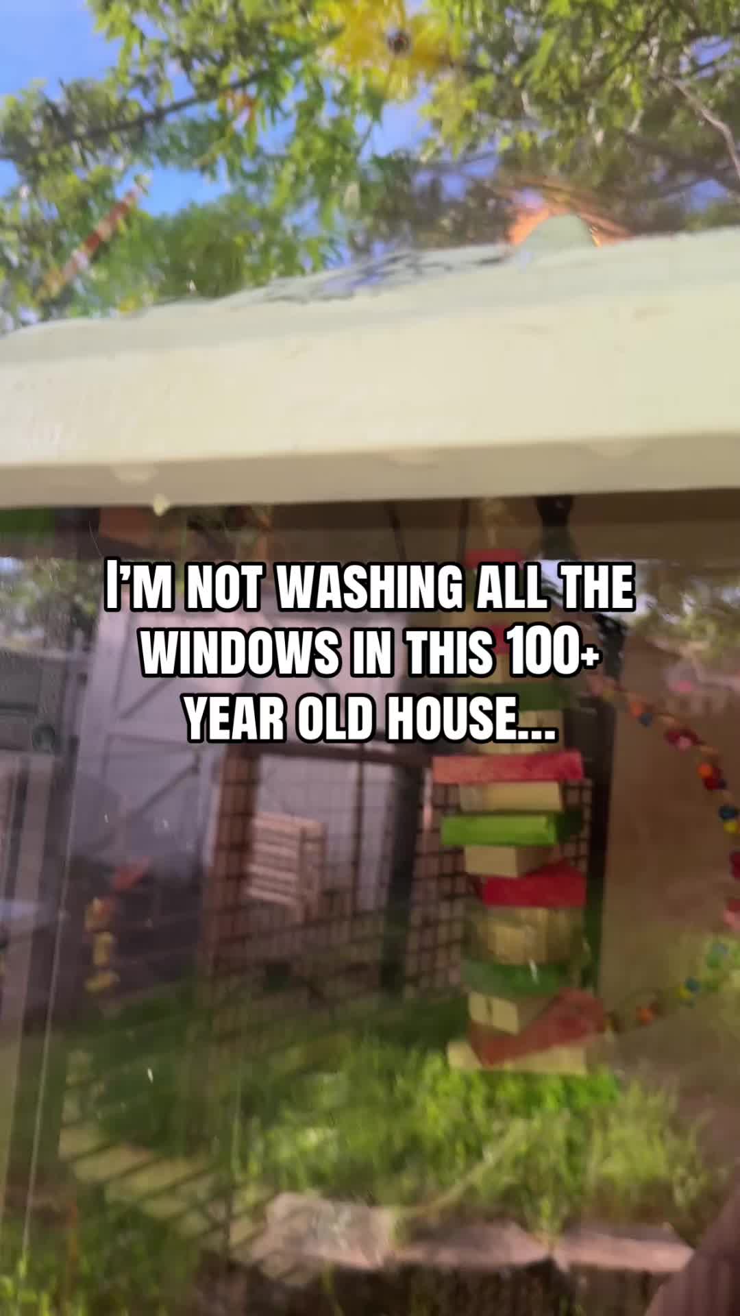 @imforthebirds