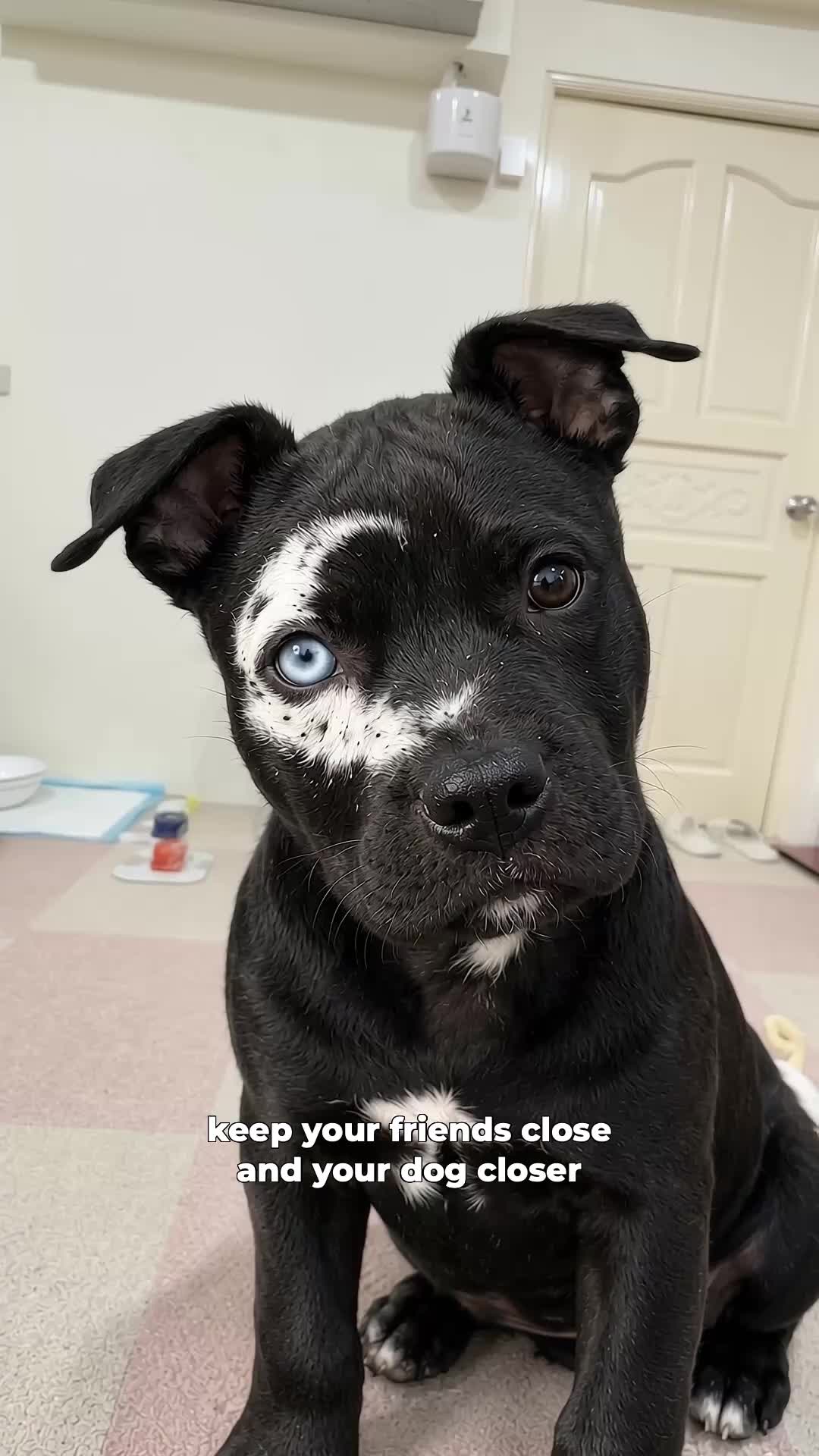 @moonfetches