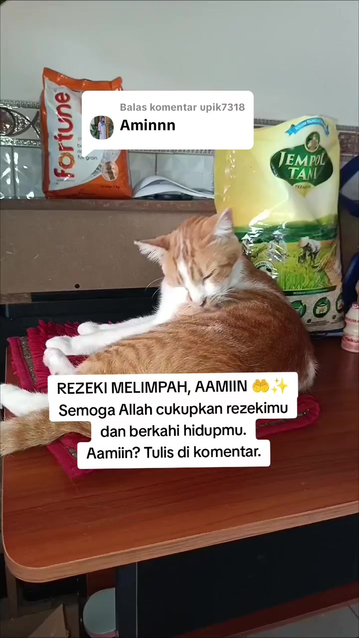 @dymakulinerⓂ️