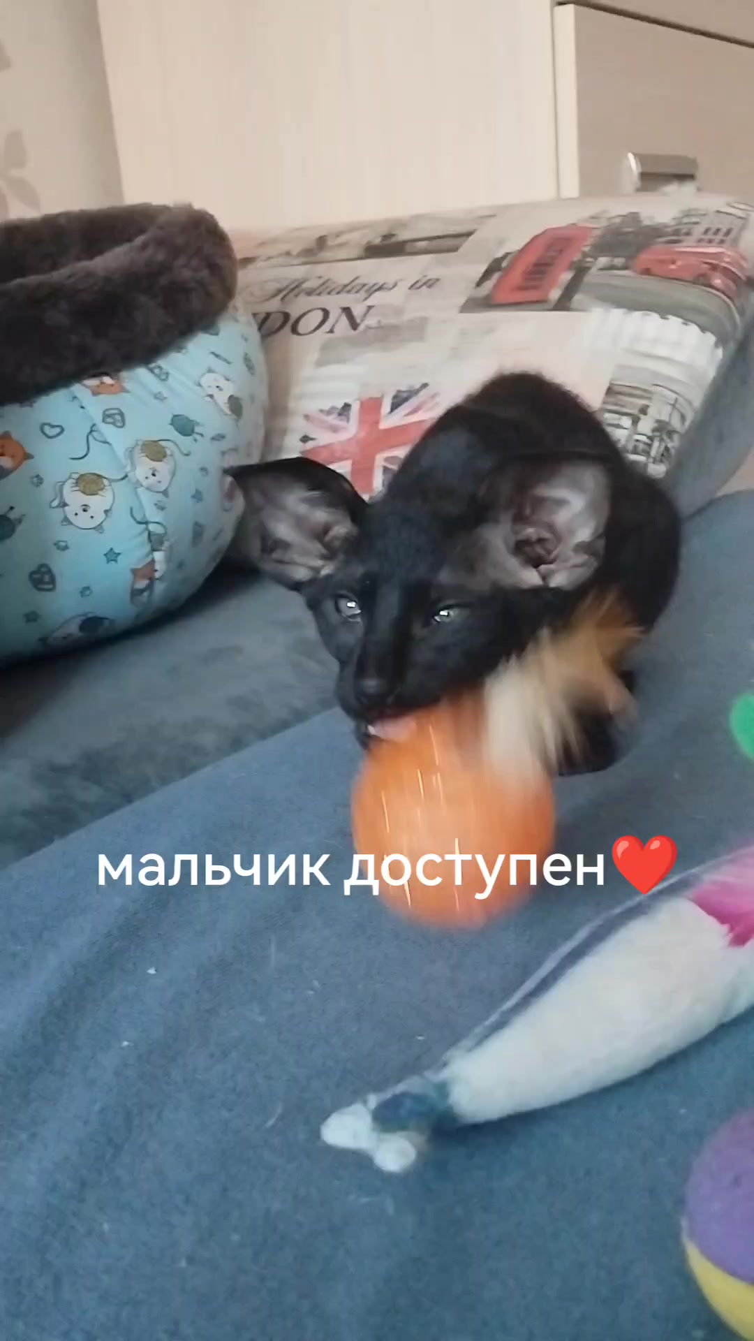 @Наталья