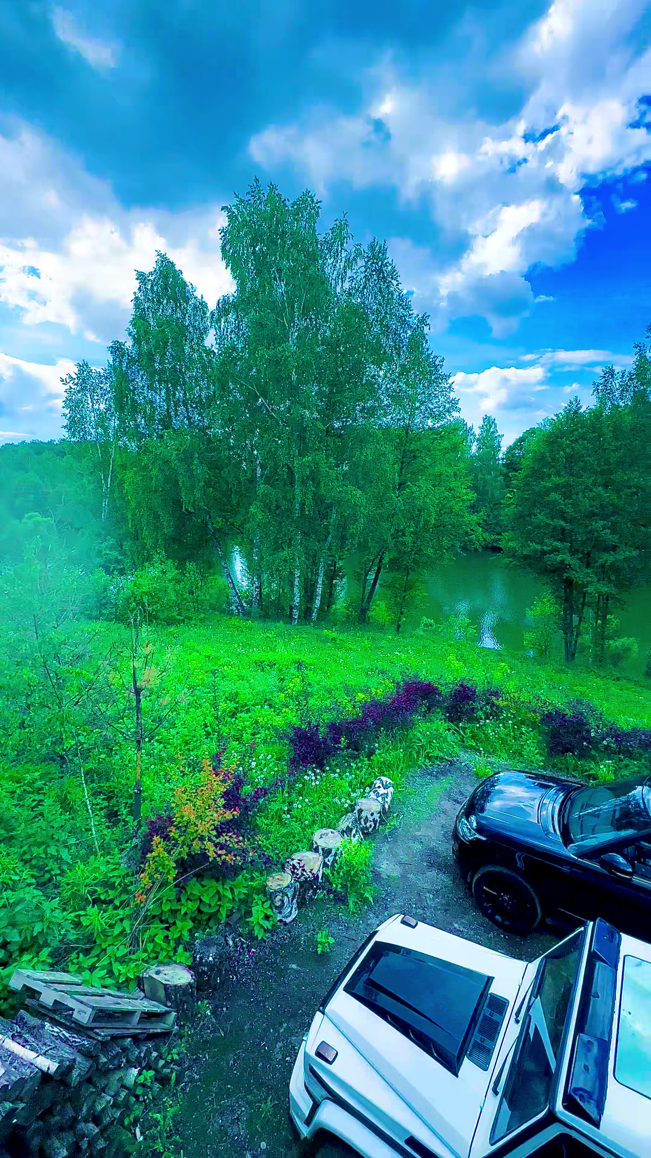 @Remal_gasanov