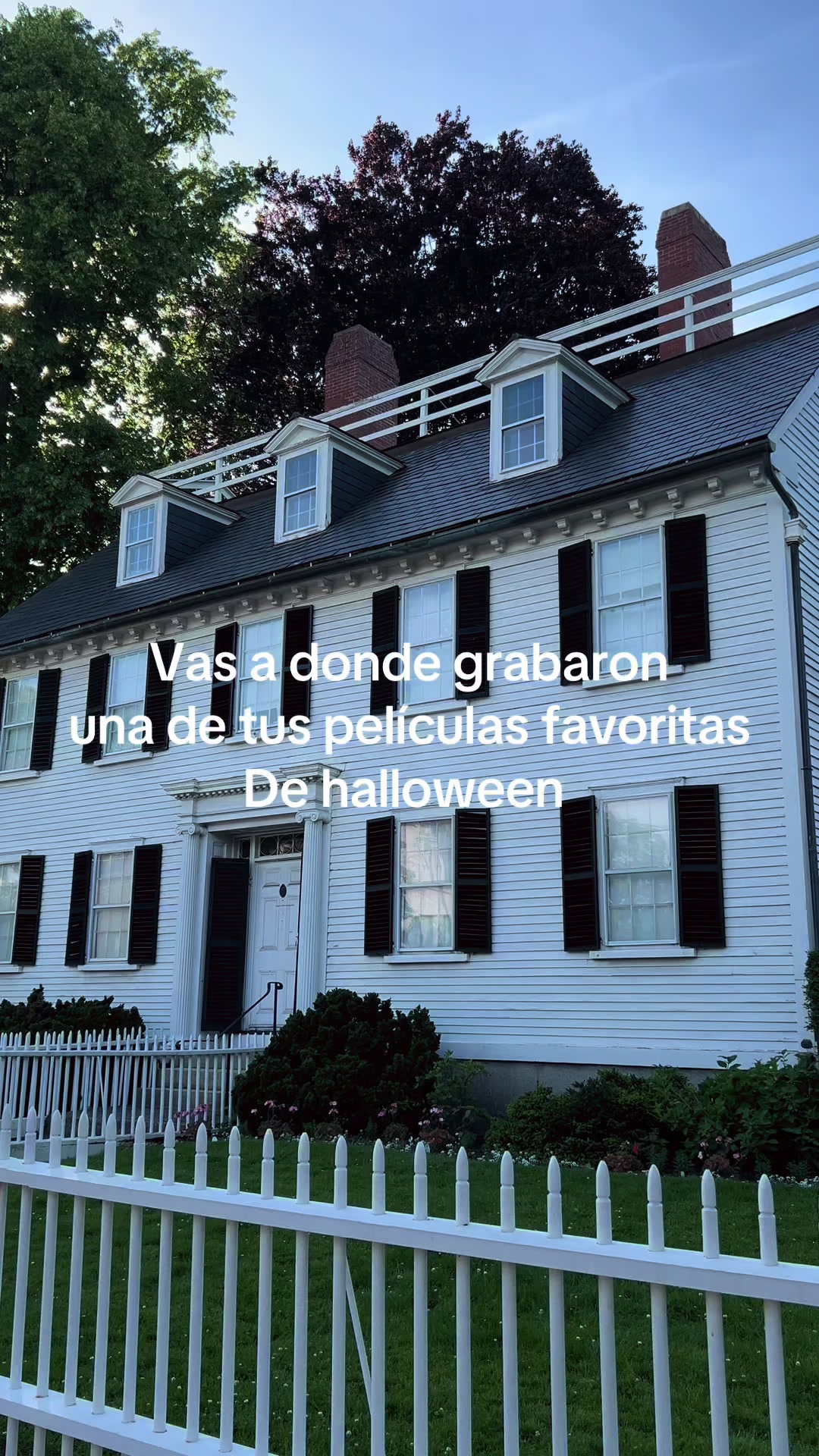 @Sebas Alisaleh