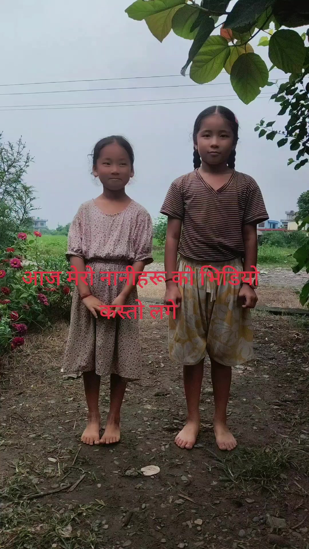 @T+ M๐น๐น๐น๐น