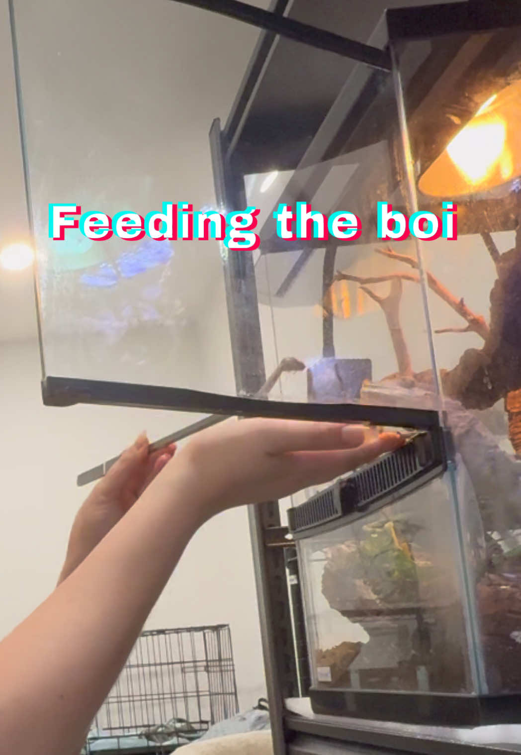 @Kara