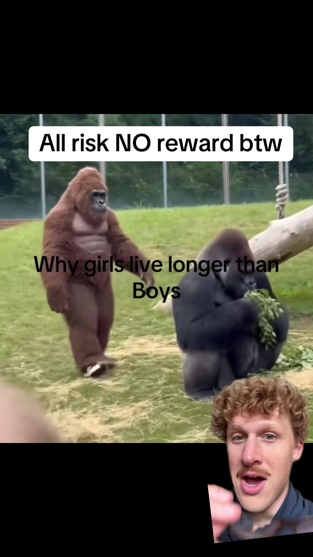 @WhisTrey