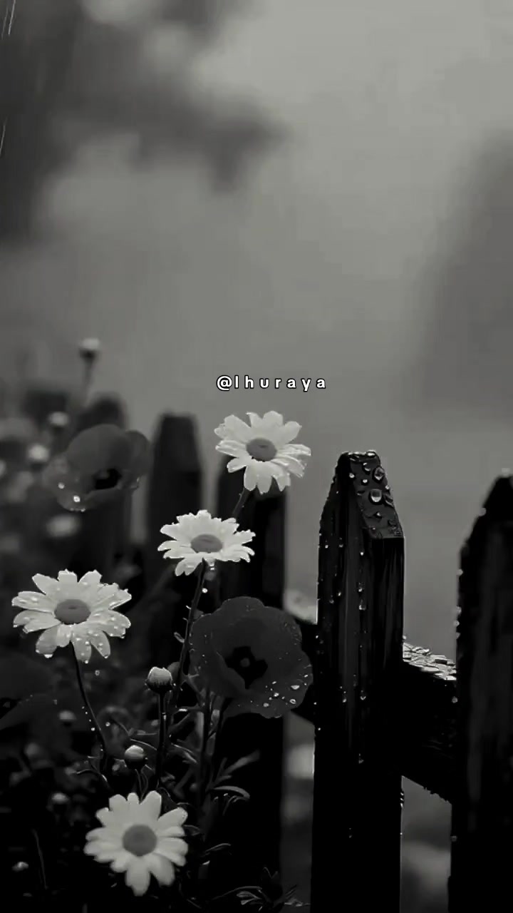 @ثــريا ✨