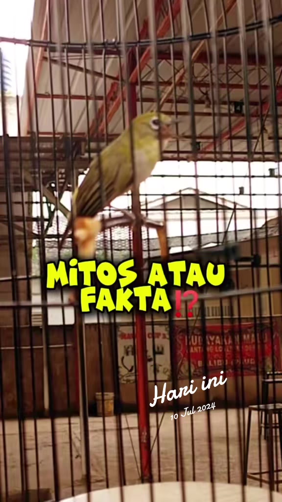 @totalbukpar