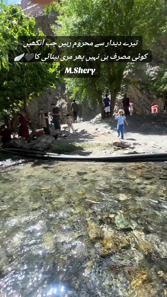 @Shery46