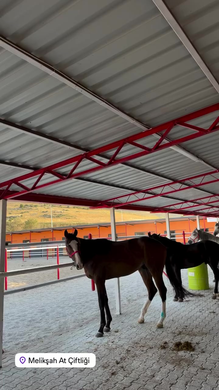@Yusuf Acıbadem