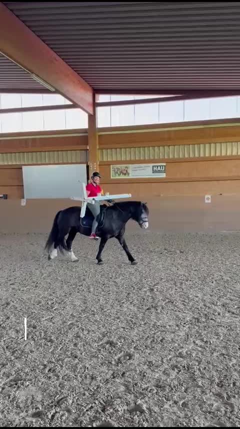 @diepepsitanja5