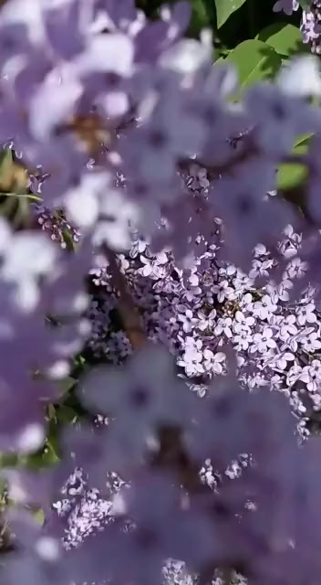 @dygm38