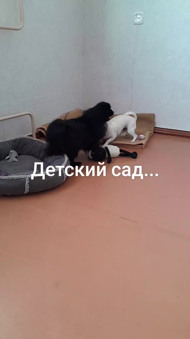 @Жужа