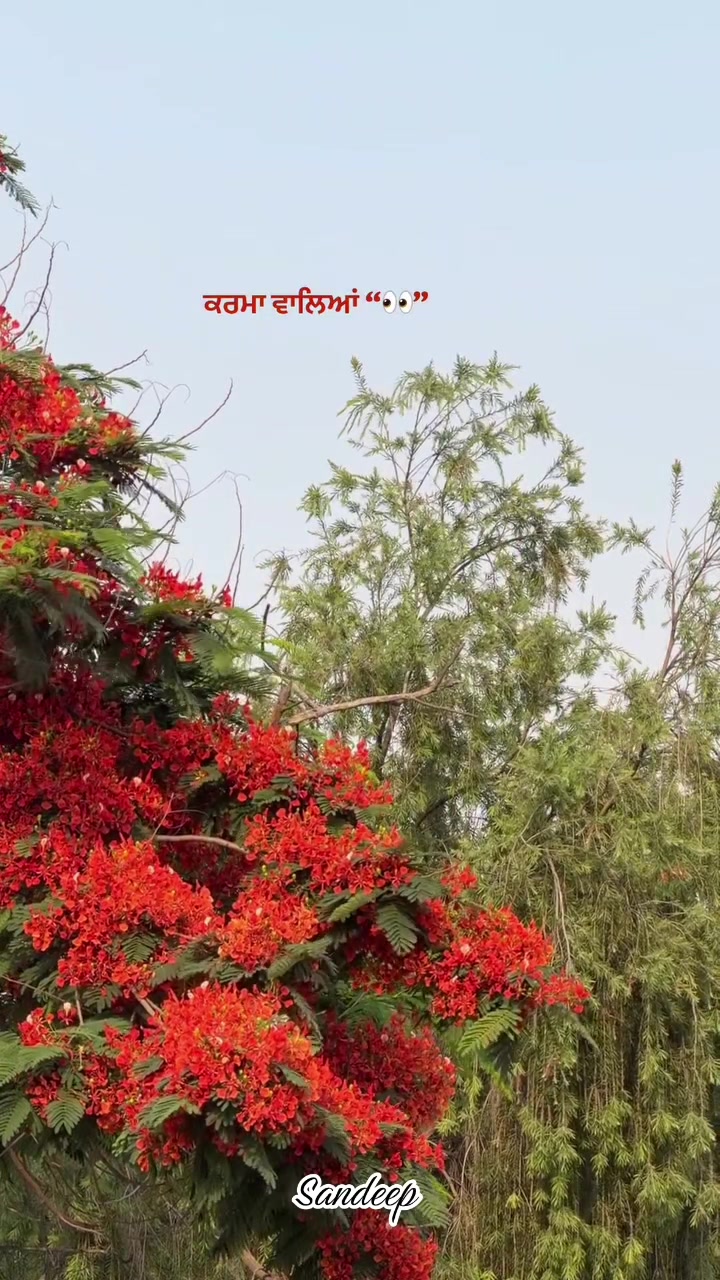 @Sdeep_2022