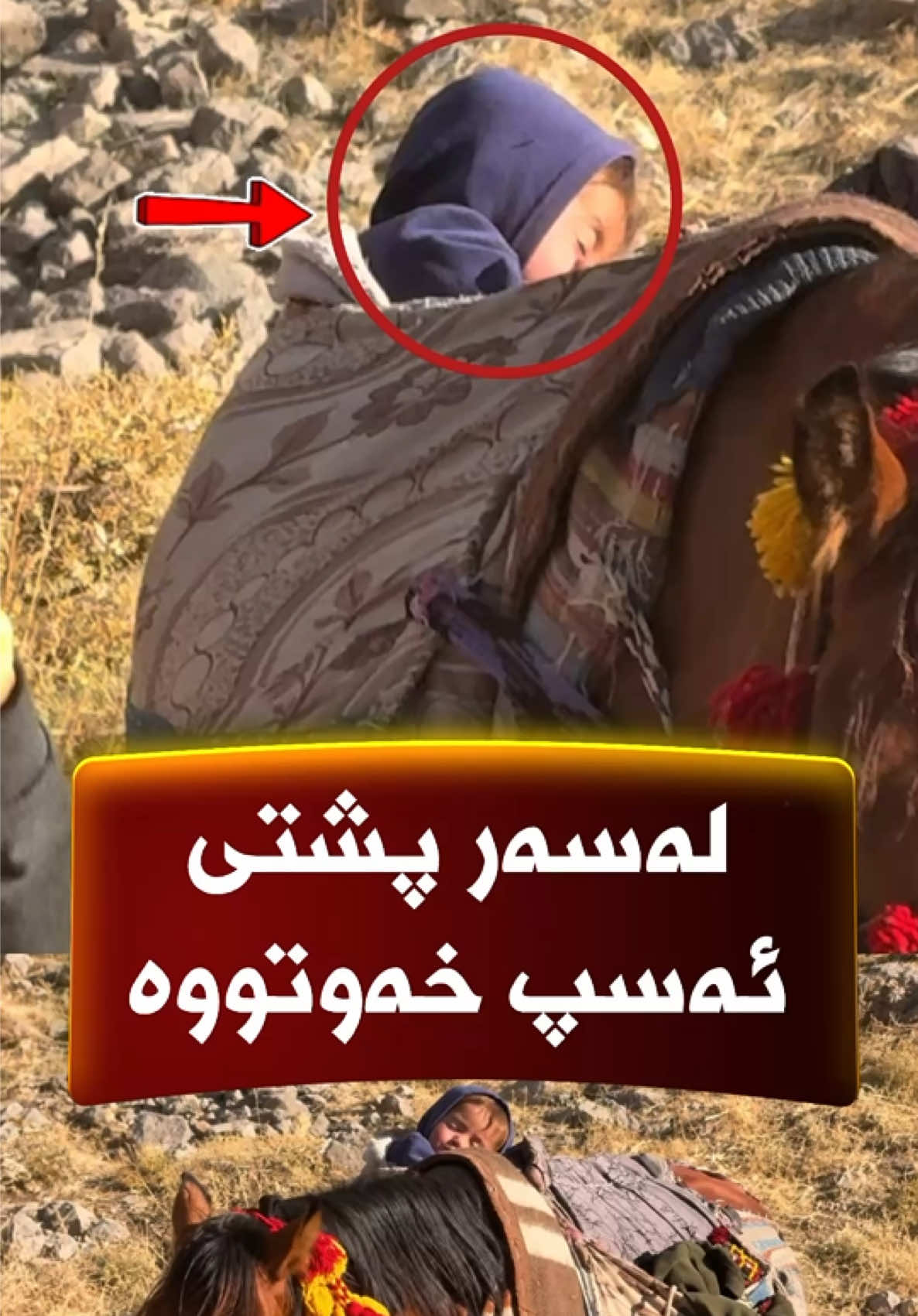 @جیگر هـــەركی🎤📺