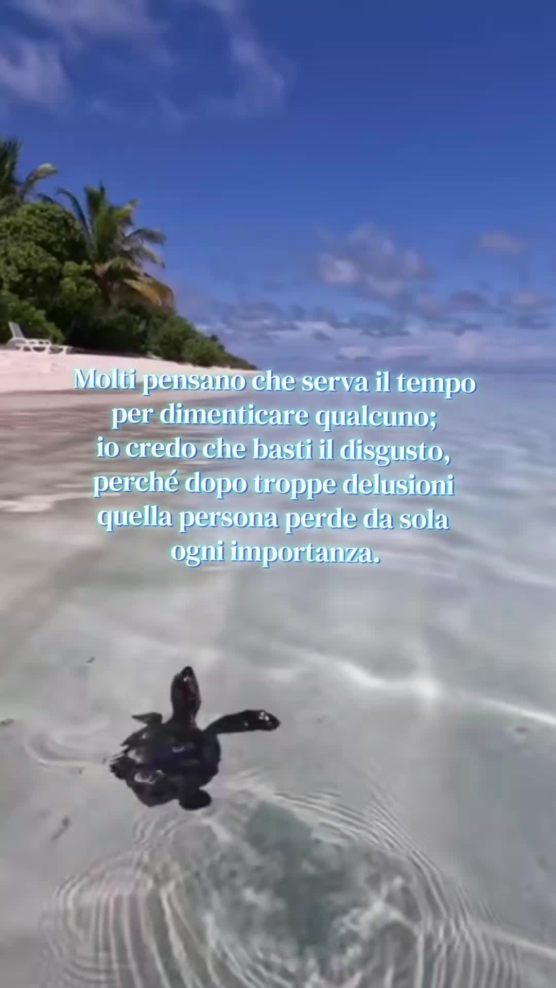 @MARIKA RIZZO 25