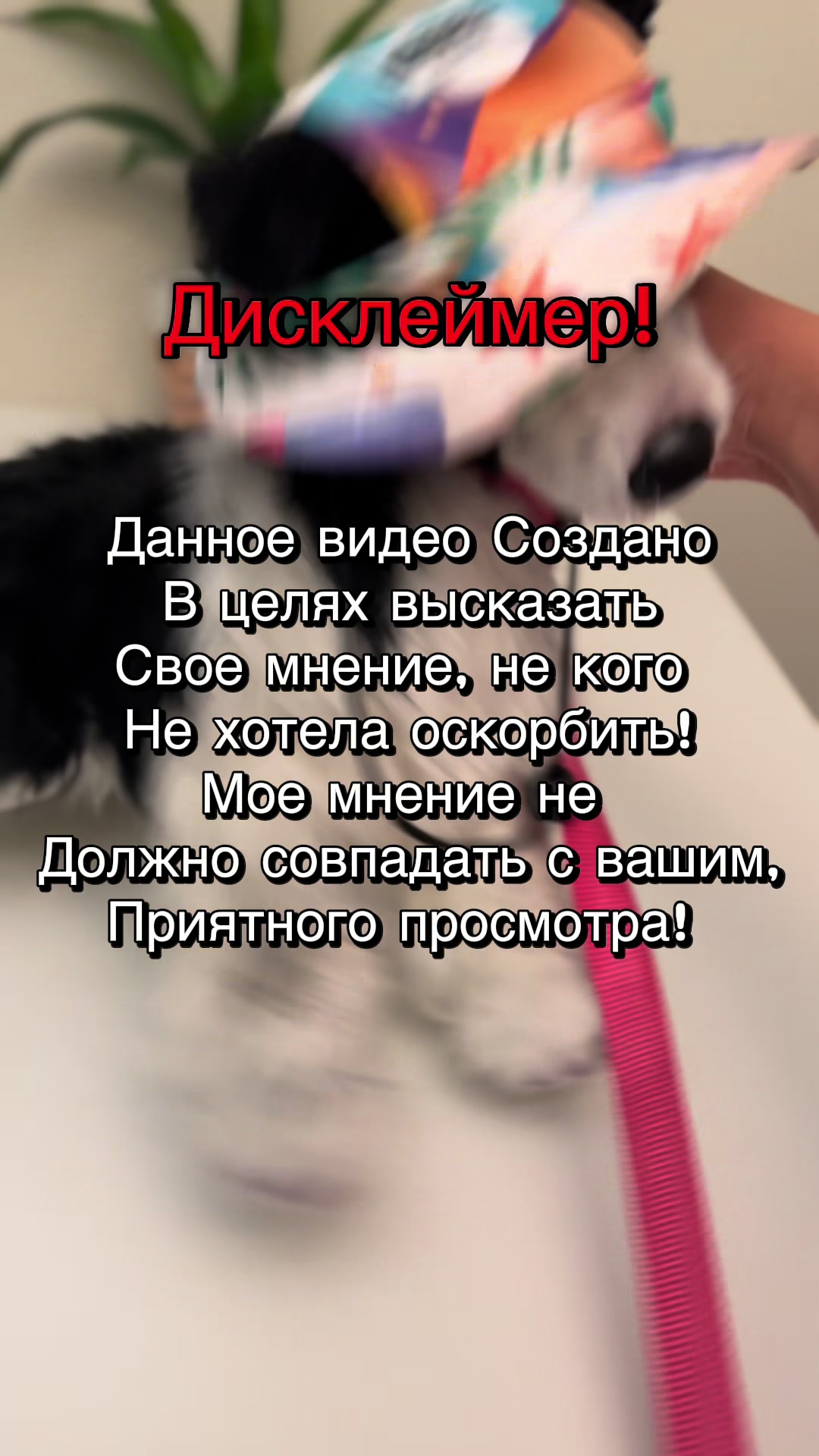 @🎈»𝔘𝔖𝔬𝔪𝔢𝔩_ESAS!⛓(Пдб)«🎂