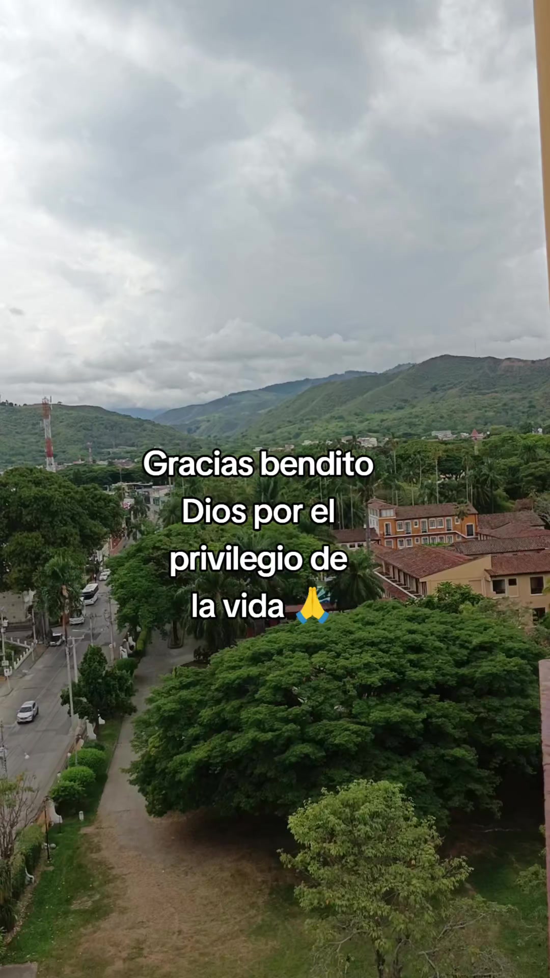 @luz