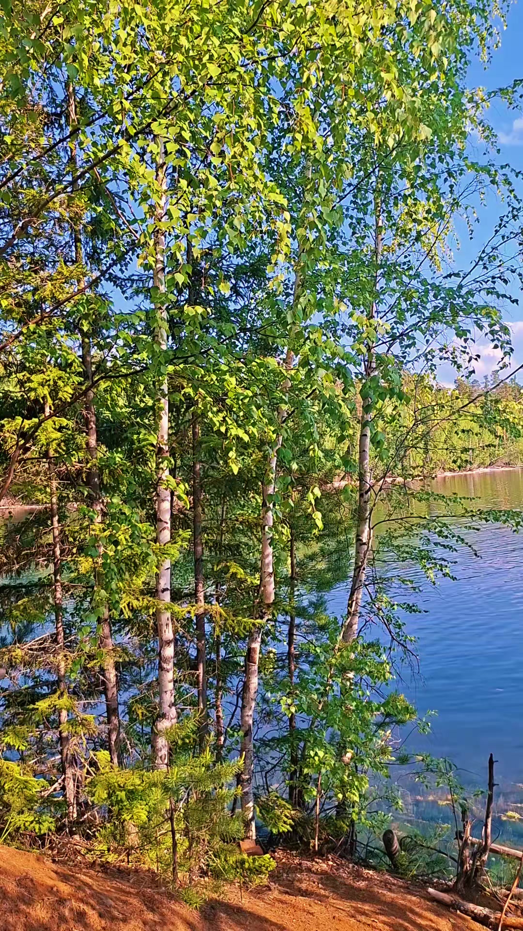 @Владимир