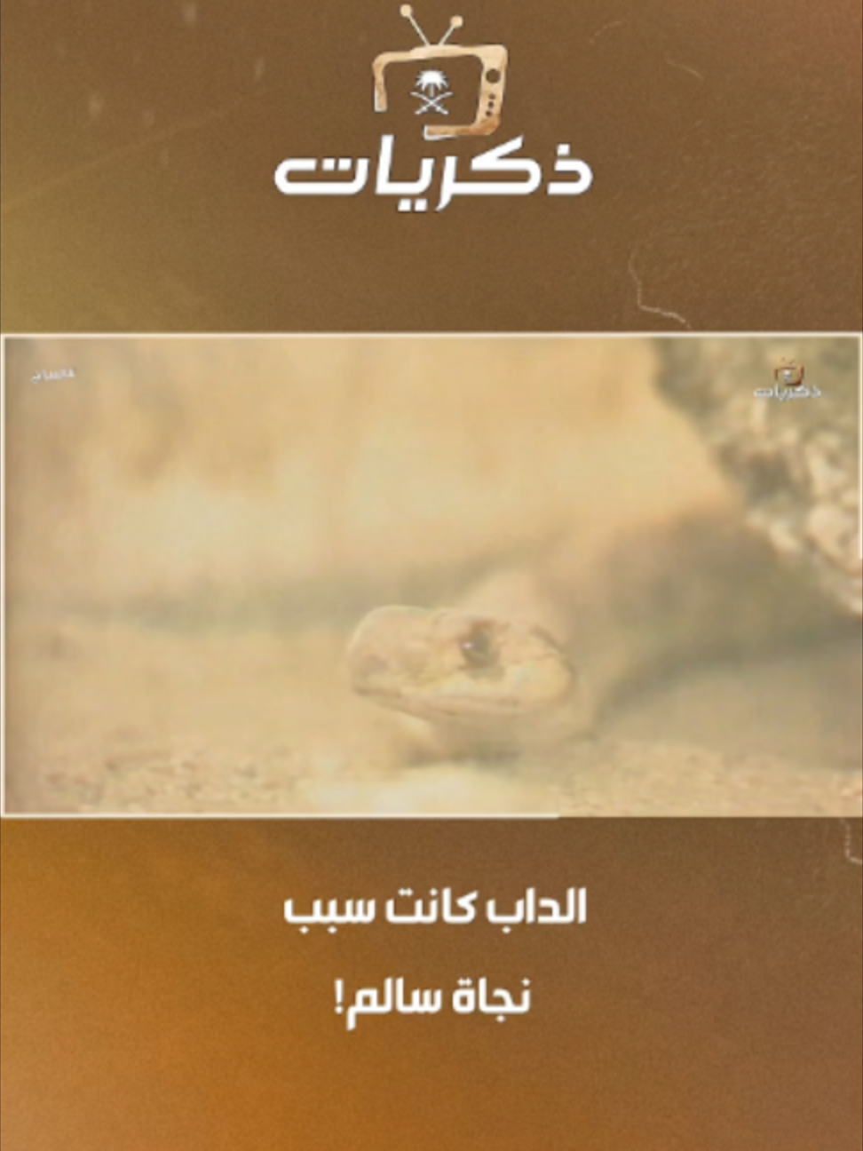 @قناة ذكريات