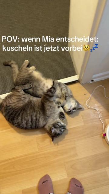 @miabalou.daily