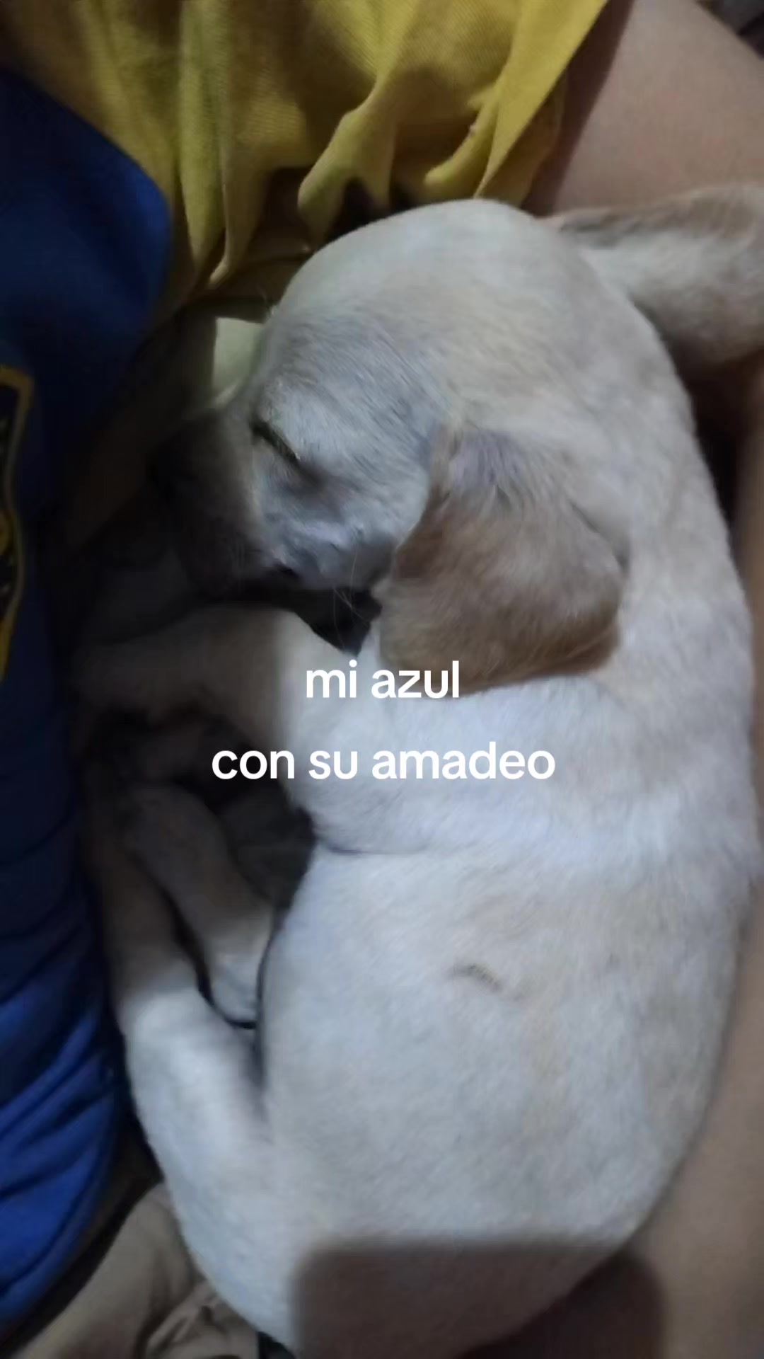 @Carolina S&aacute;nchez