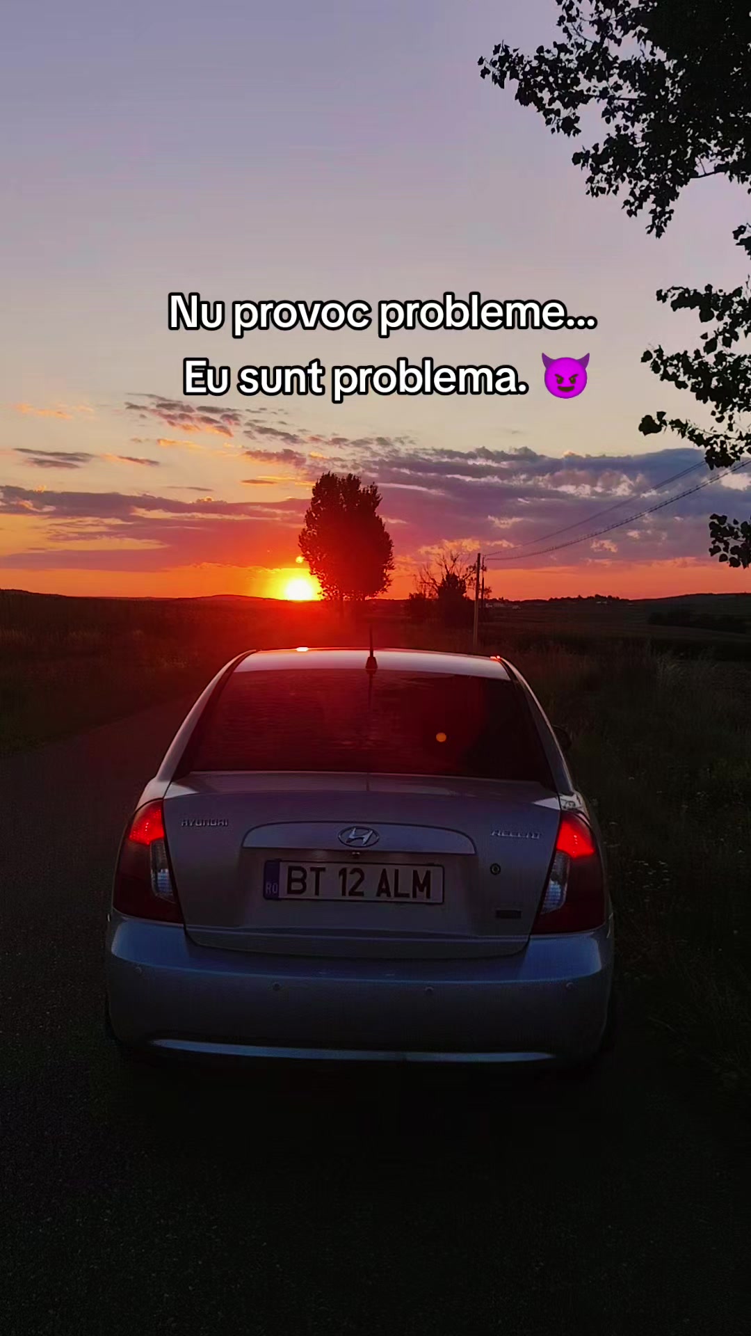 @12 ALM