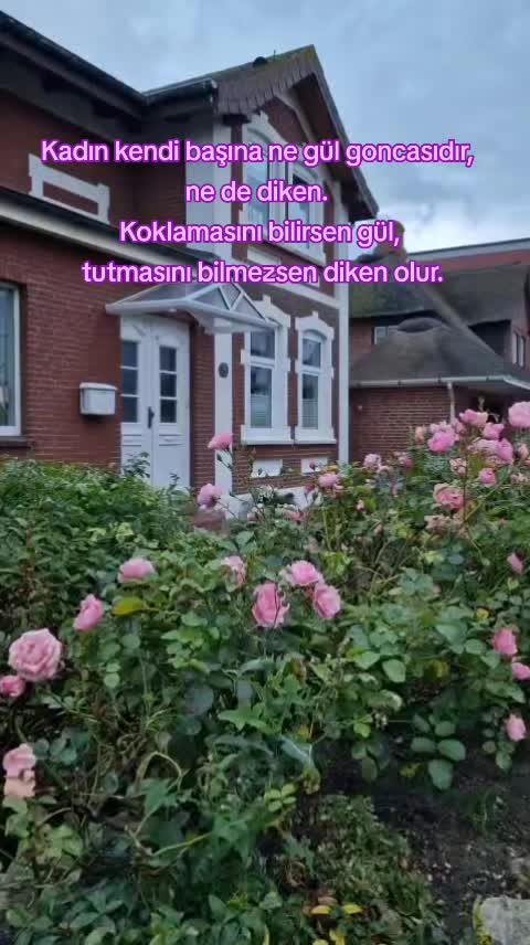 @🇩🇪MAVİ💙MUTFAK🇹🇷