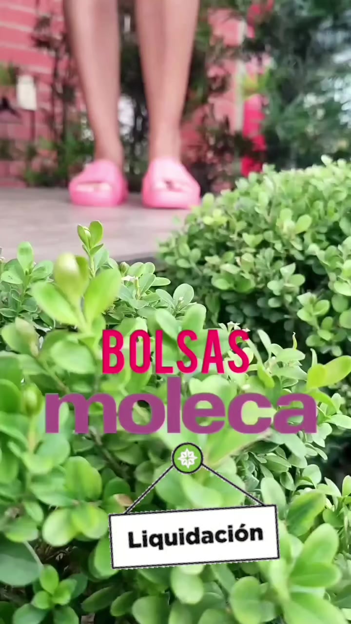 @BelenCalzadosBrasileros