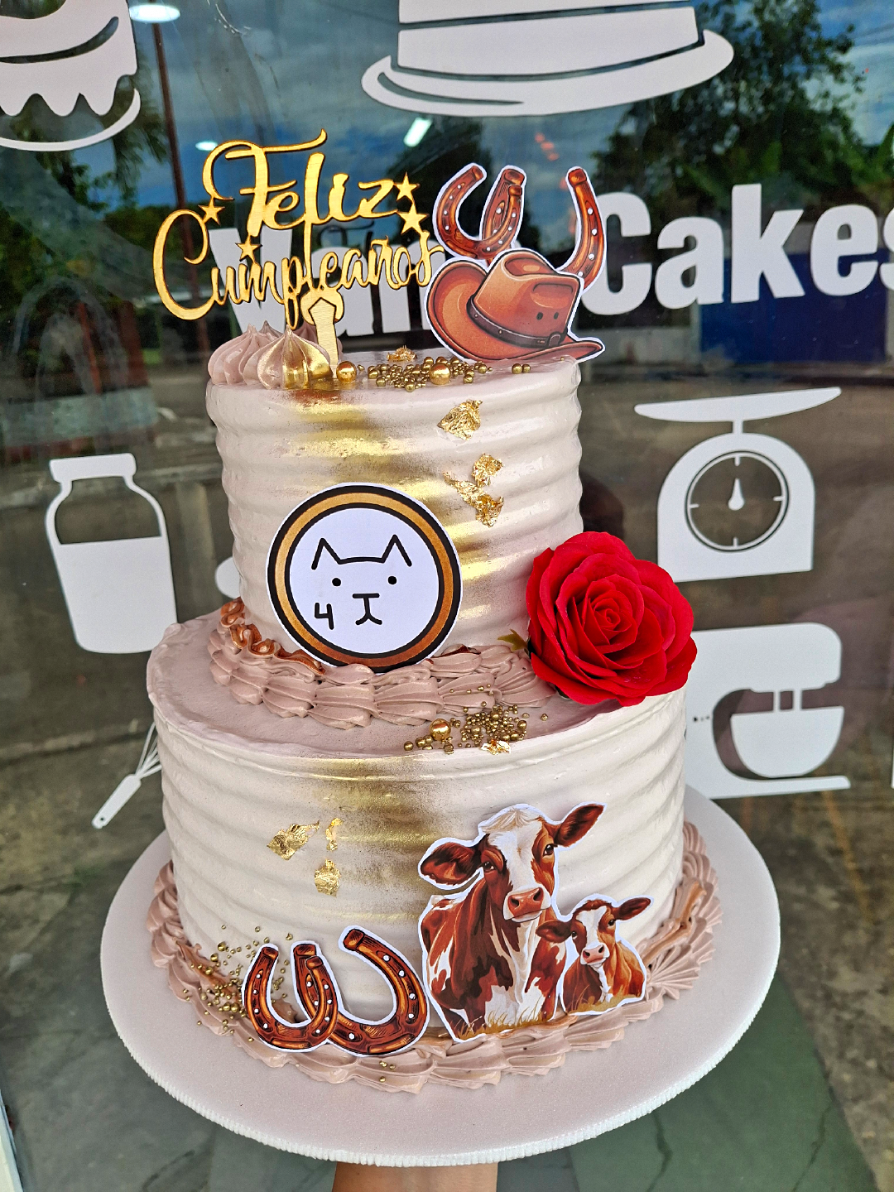 @vanecakes
