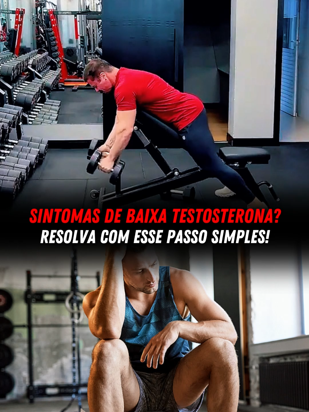 @Projeto Monstro