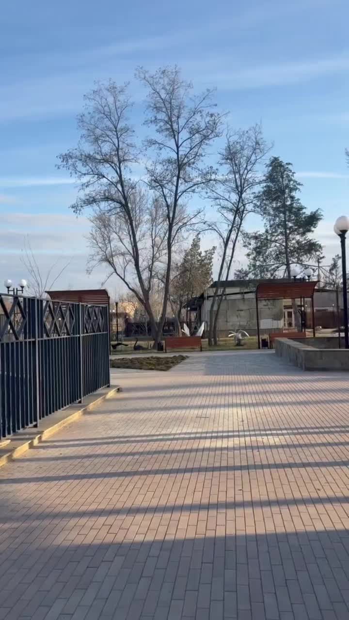 @Ксения Малиновская