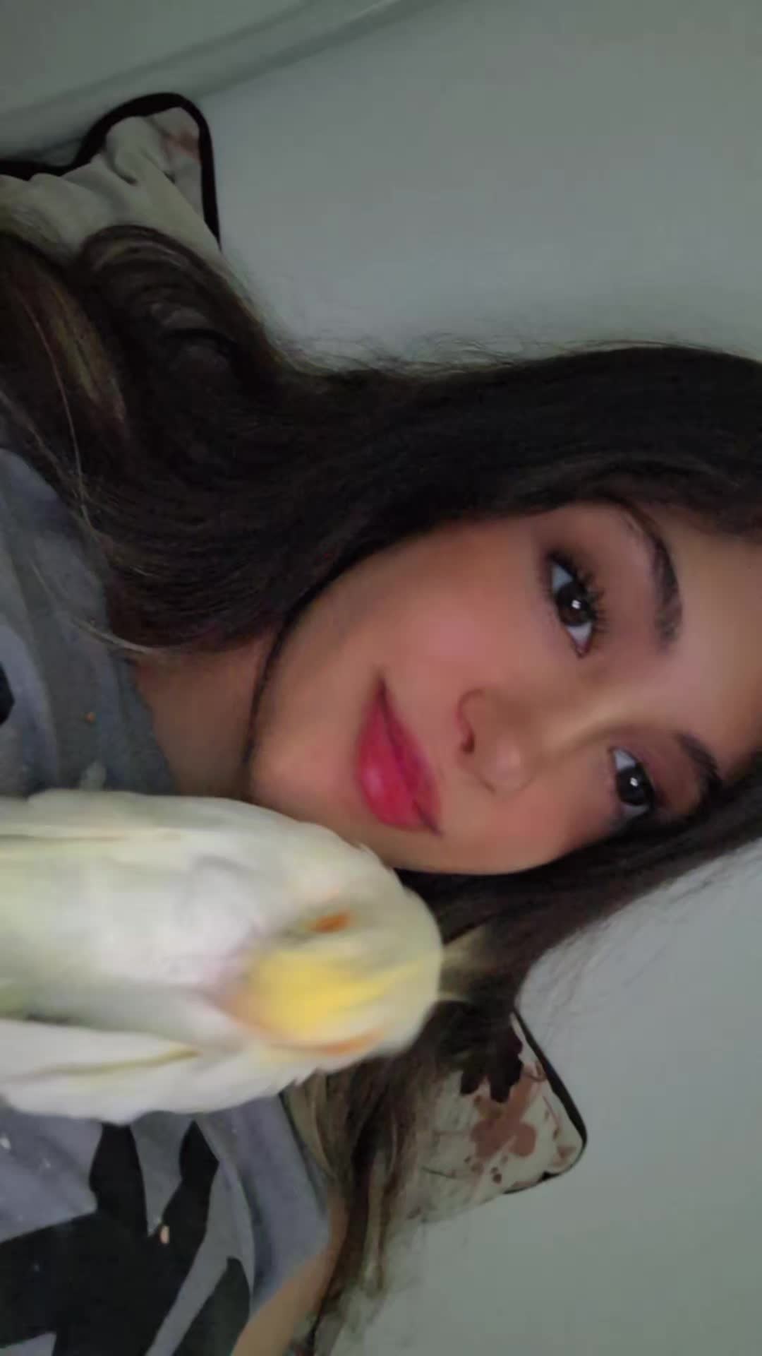 @hanilia