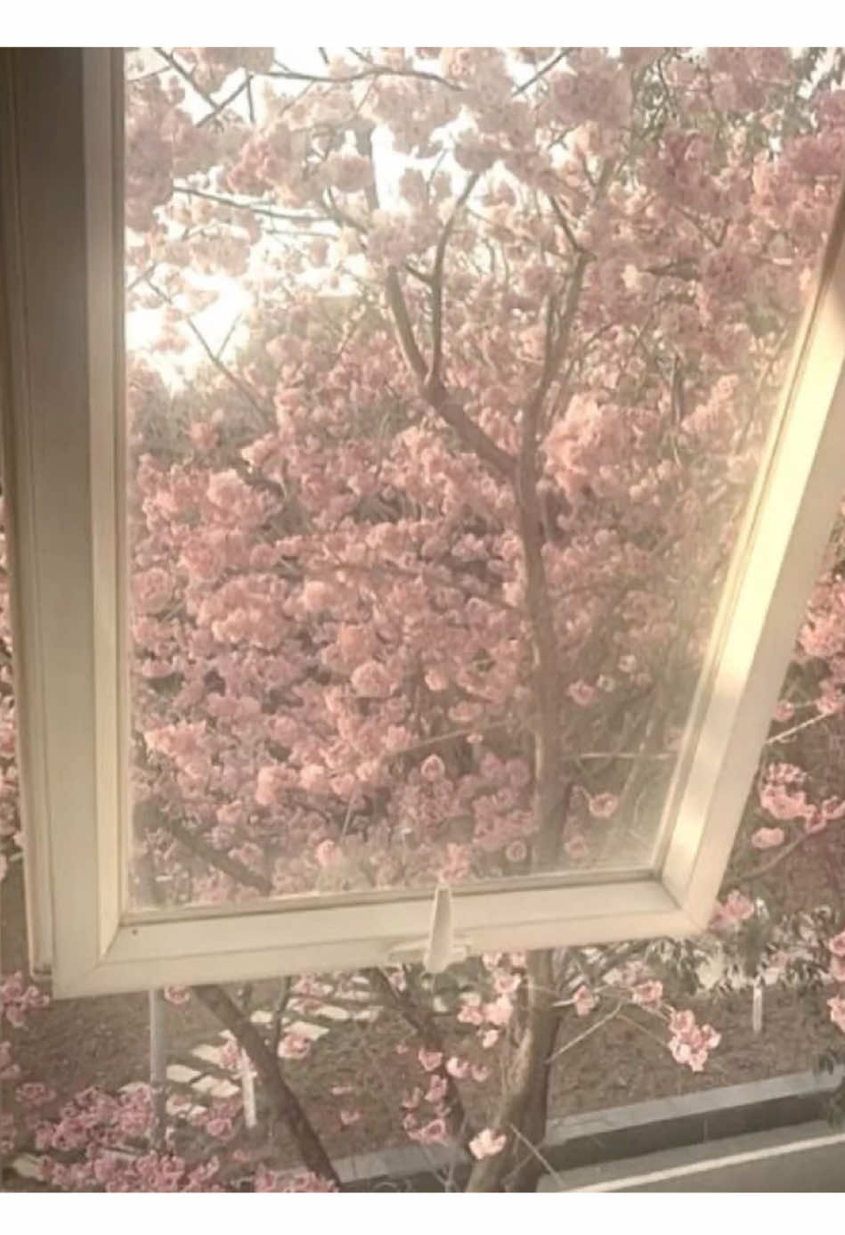 @(:̲̅:̲̅:̲̅[̲̅:♡:]̲̅:̲̅:̲̅:̲̅)