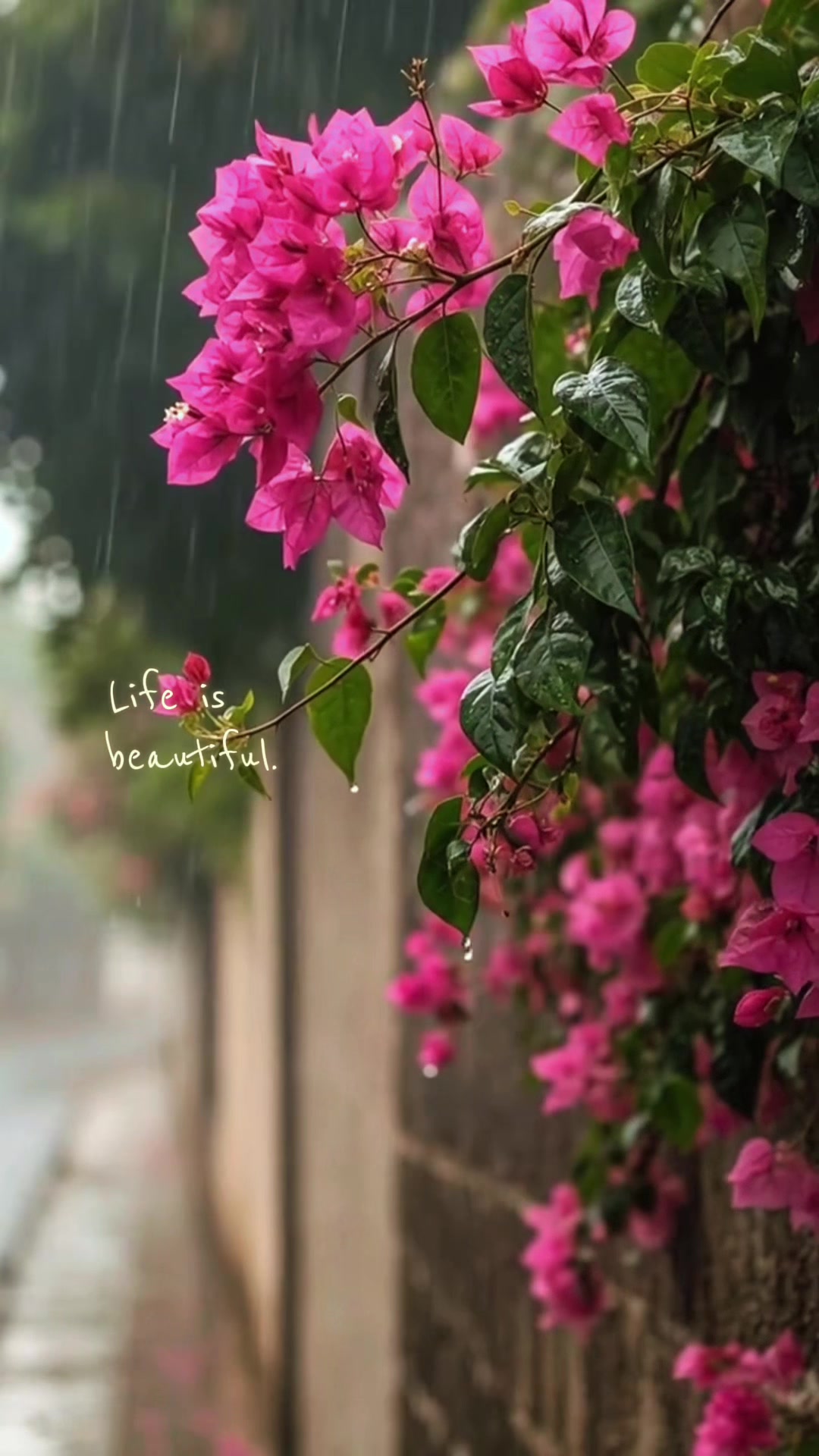 @حریم💐