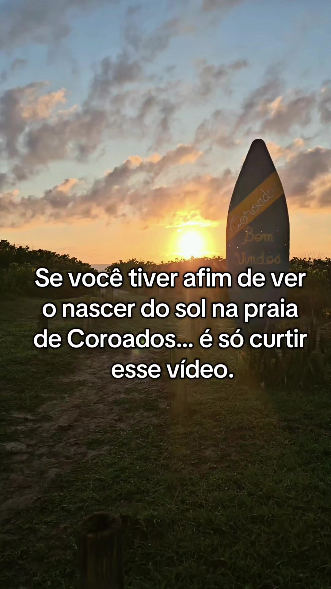 @coroadosebarradosai