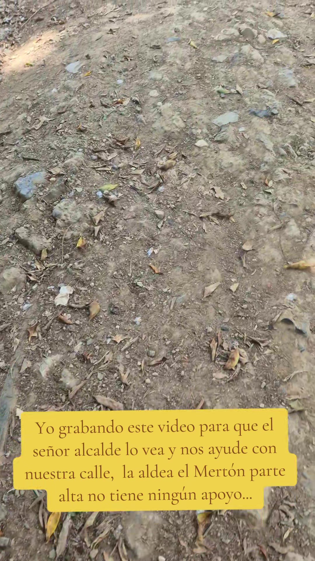 @🪐Yesi G&oacute;mez 🫰