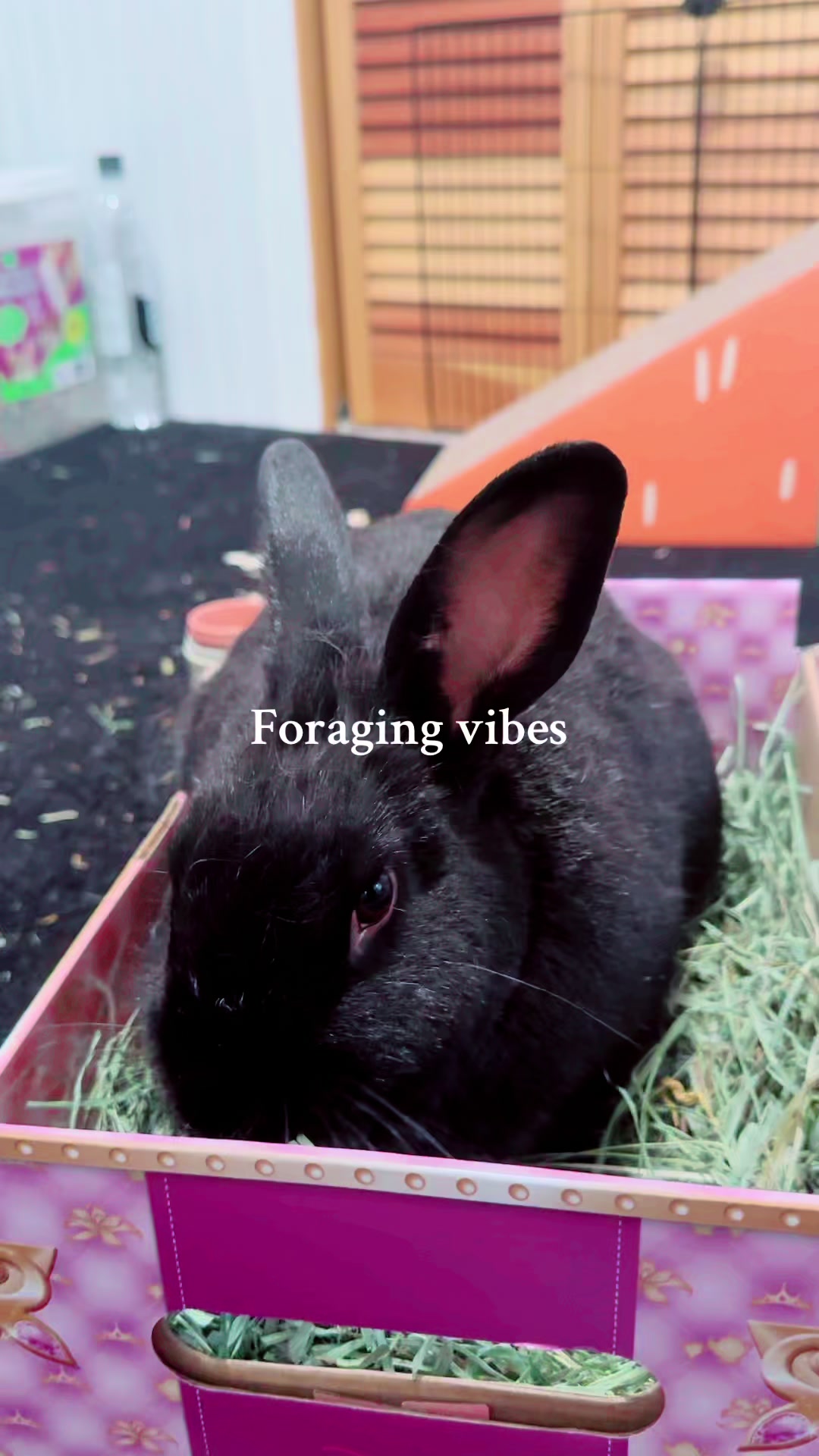 @Sara | books & buns 📚🇨🇦🐰