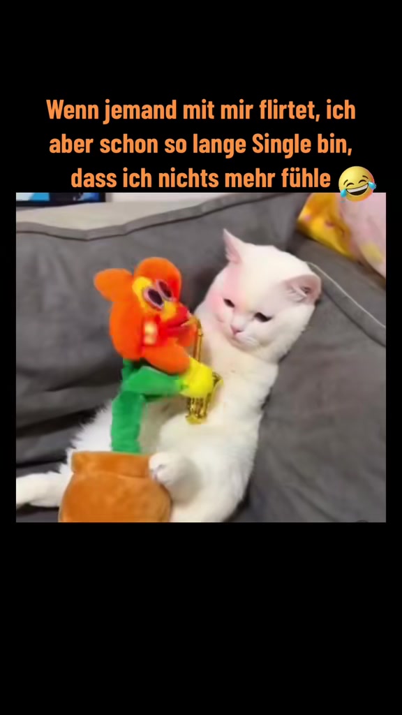 @notyourdani1412