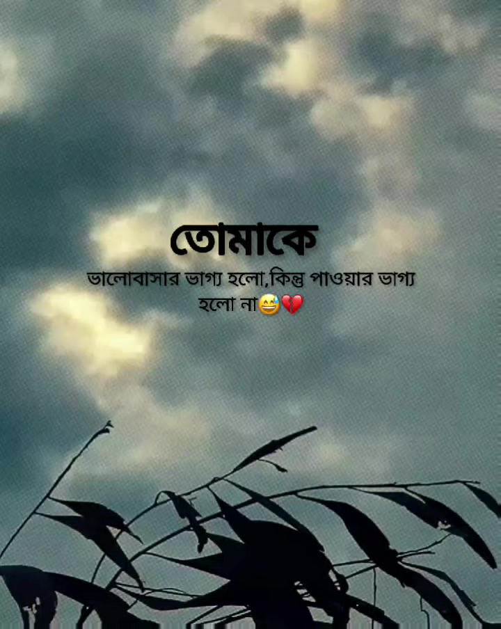 @Rakib Khan