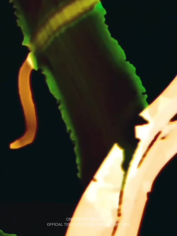 @🔱සිසර් මල්ලි 🔱