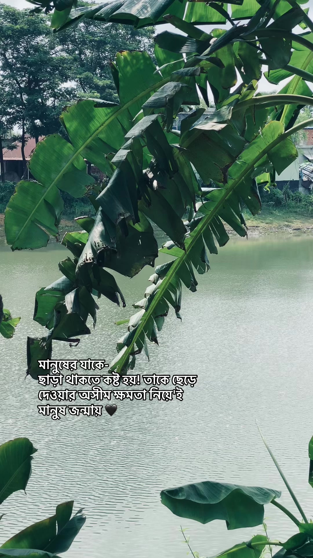 @_নিখোঁজ_