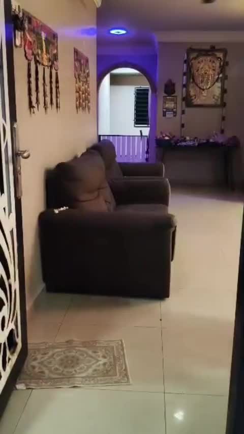 @TobbyMishika_TheHusky