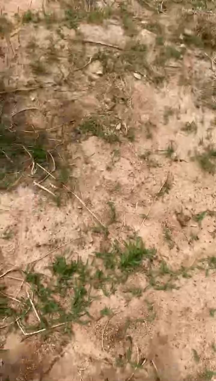 @OG SSP&Atilde;K&Oslash;R