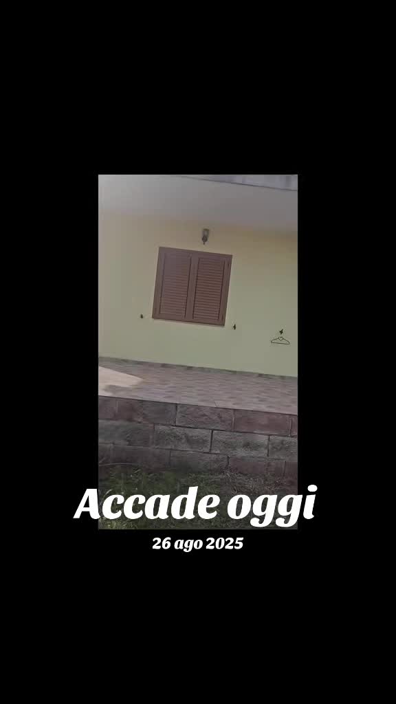 @Selvi