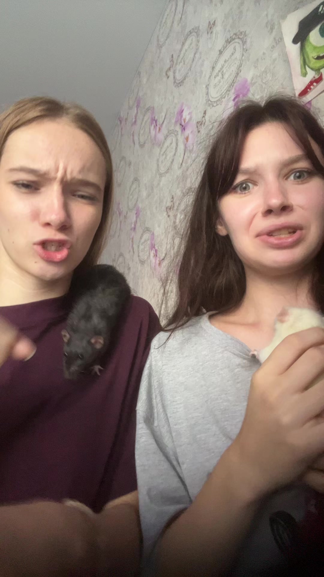 @либэйй