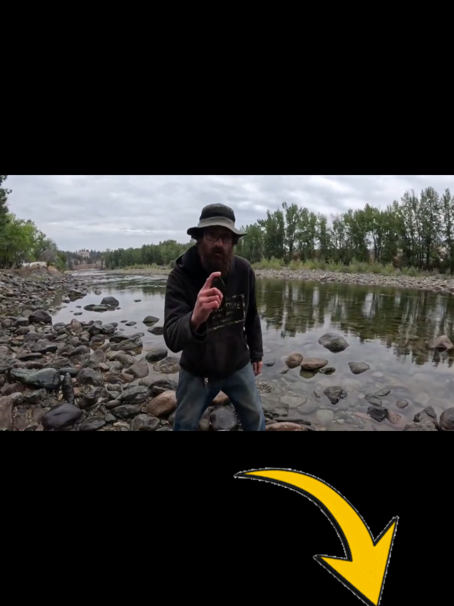 @🇨🇦PV GOLD🇨🇦